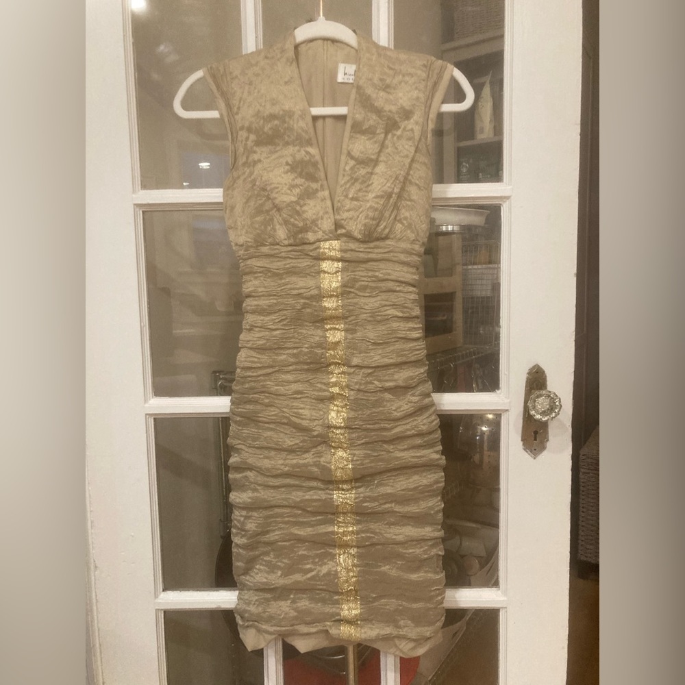 Nicole Miller slim fitting dress.  Fit me perfectly and I’m 5’4 115 lbs